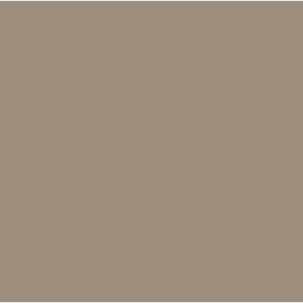 10-Inch Silicone-Rimmed Glass Lid O545716