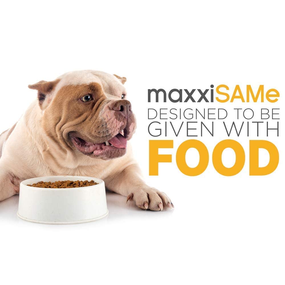 SAM-e Digestive and Immune Supplement P551133
