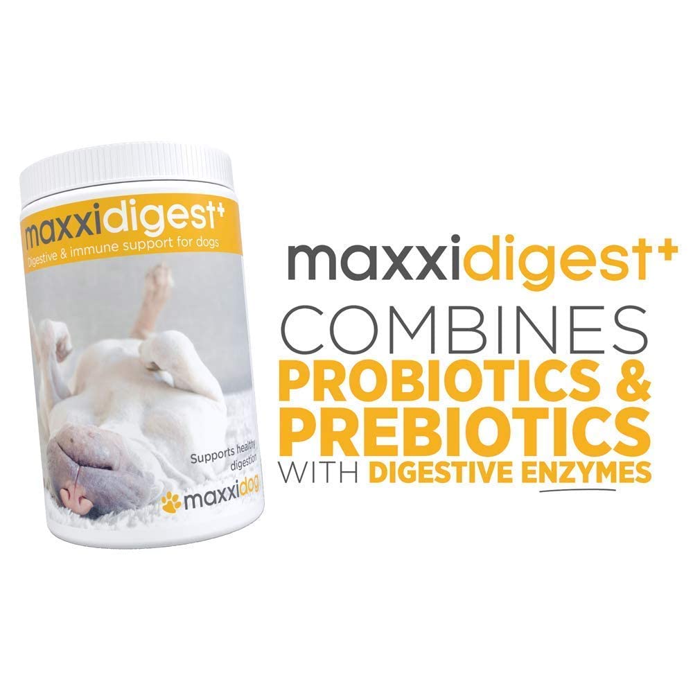 SAM-e Digestive and Immune Supplement P551133