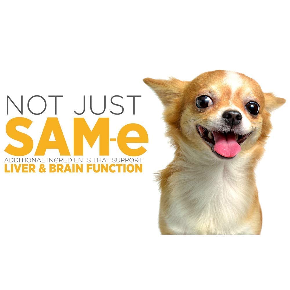SAM-e Digestive and Immune Supplement P551133