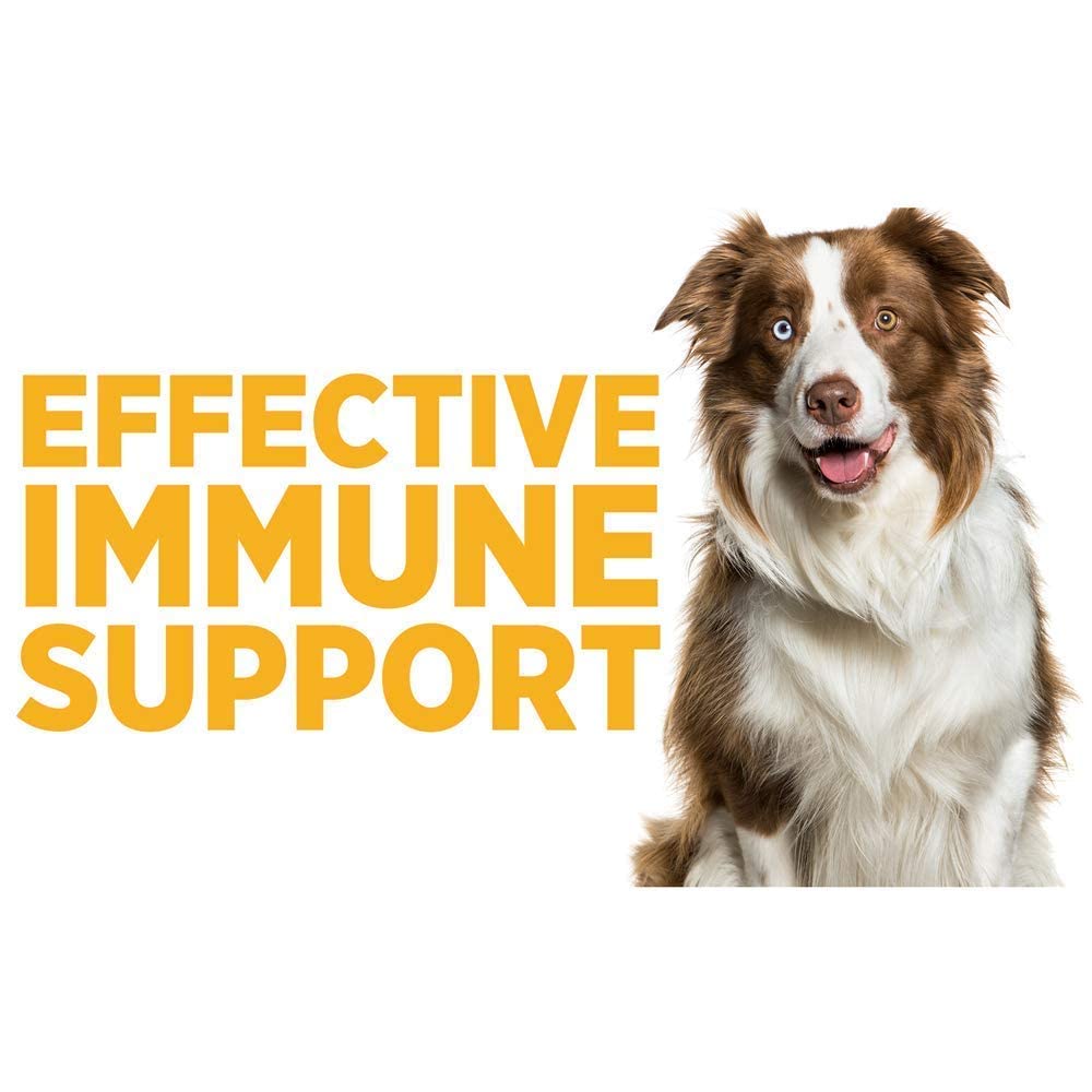 SAM-e Digestive and Immune Supplement P551133