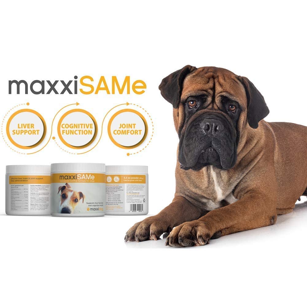 SAM-e Digestive and Immune Supplement P551133