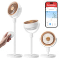 Rechargeable Oscillating Standing Fan Q975763