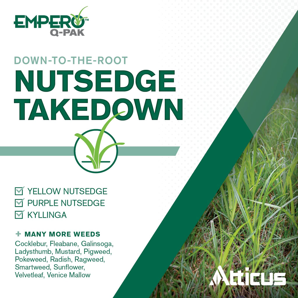 2 Pack Turf Herbicide Z7900