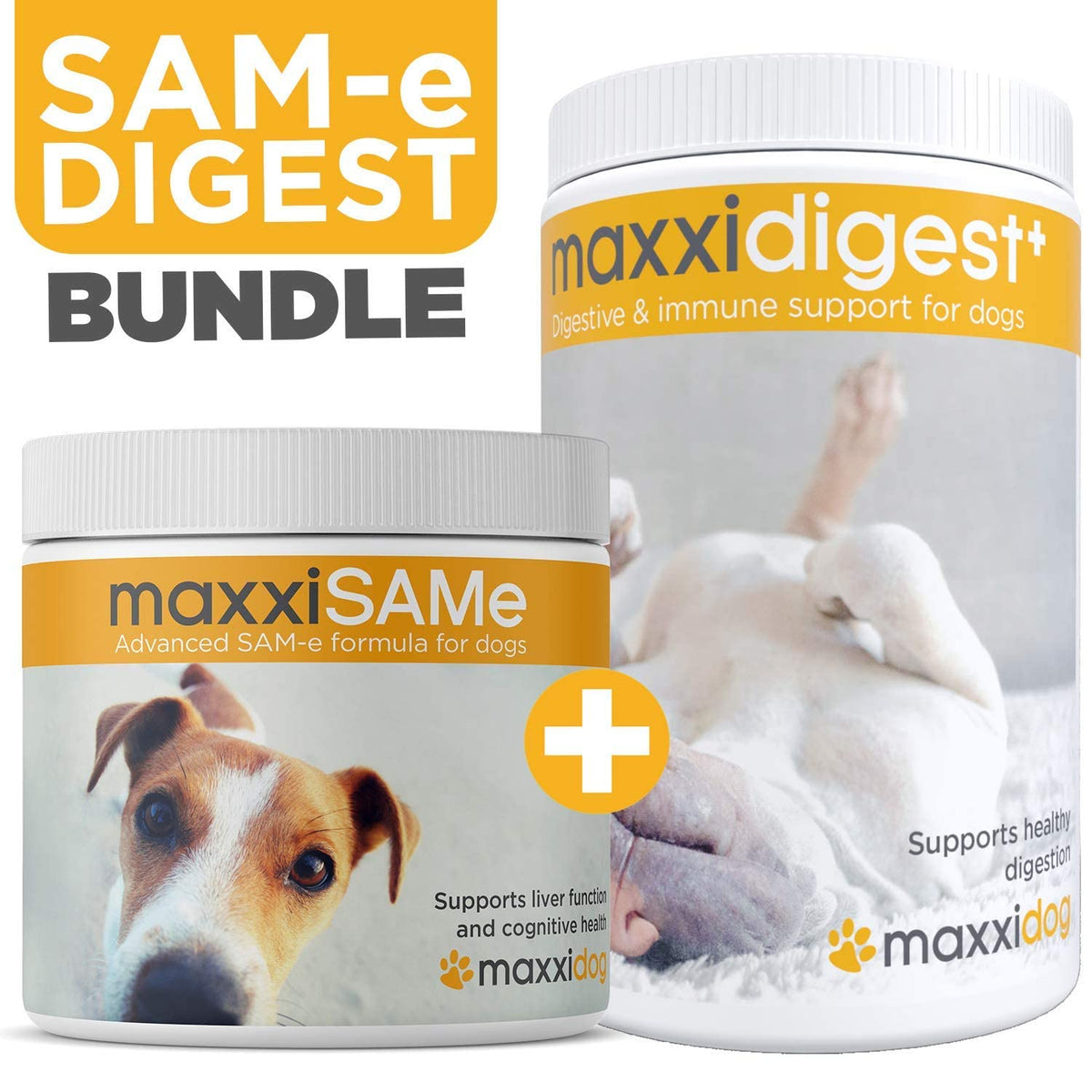 SAM-e Digestive and Immune Supplement P551133