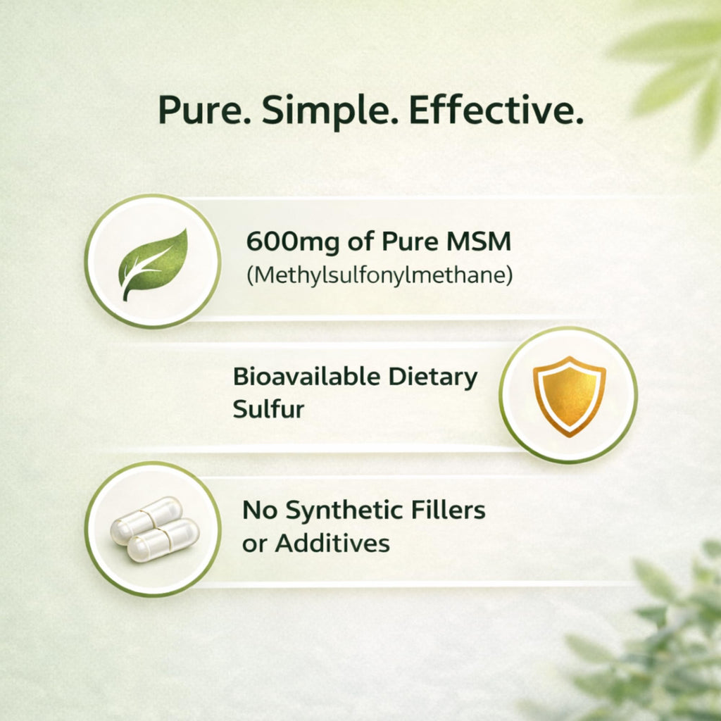 MSM Supplement 600mg 100 Gelatin Capsules H622