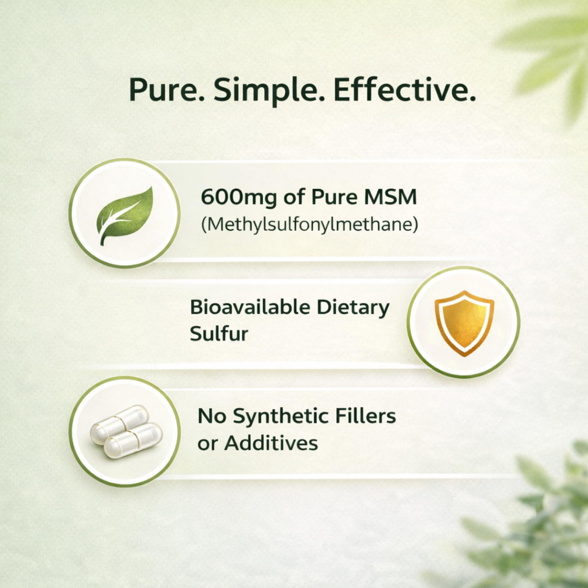 MSM Supplement 600mg 100 Gelatin Capsules H622
