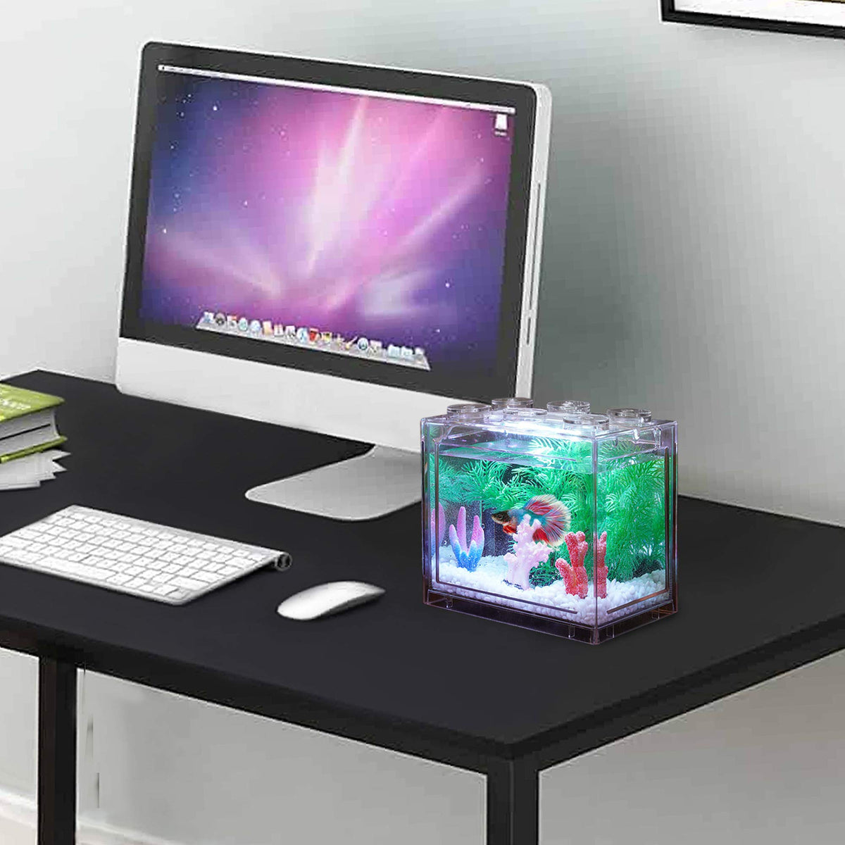 0.6 Gallon Betta Fish Tank Aquarium Kit with LED Lighting D53130