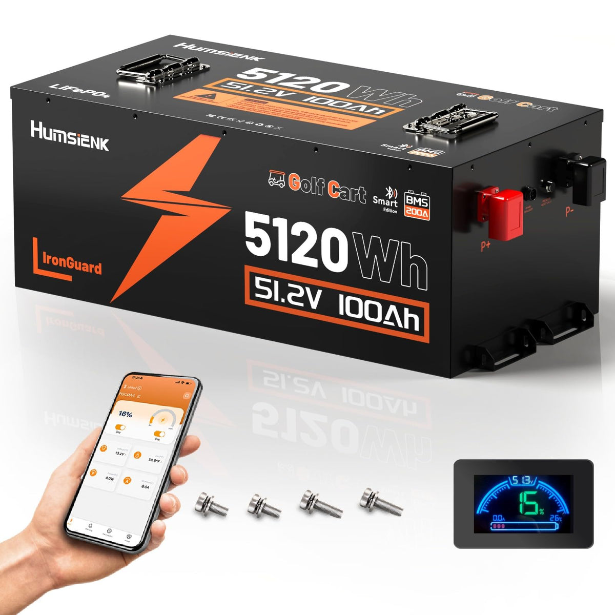 48V 100Ah LiFePO4 Golf Cart Battery T409