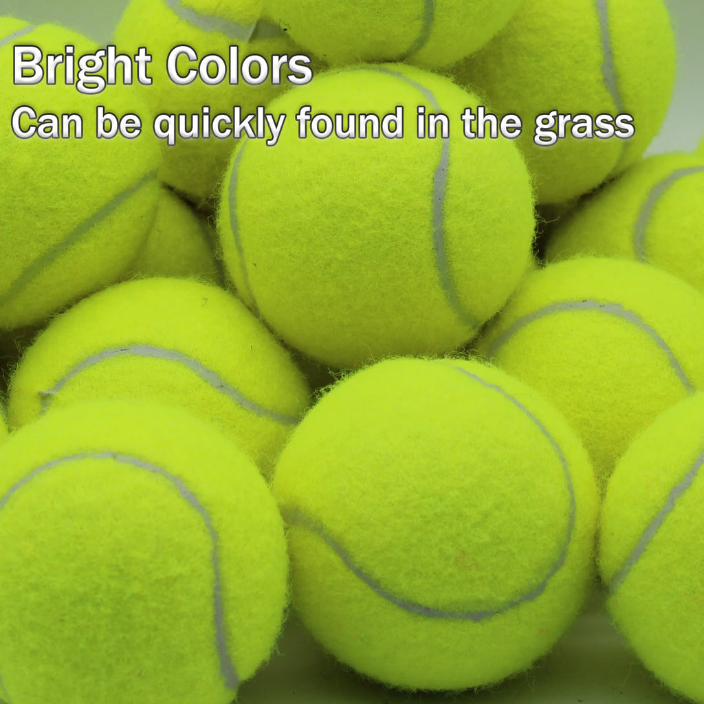 20 Pack Tennis Balls with Mesh Bag T805598