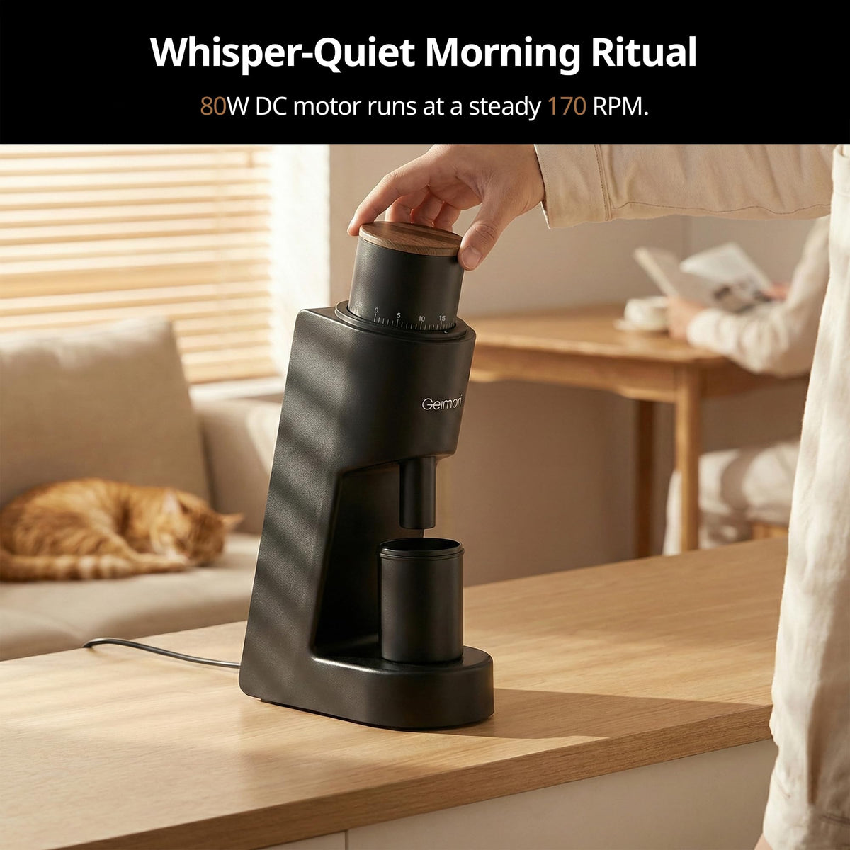 Coffee Grinder with Conical Burr H1578