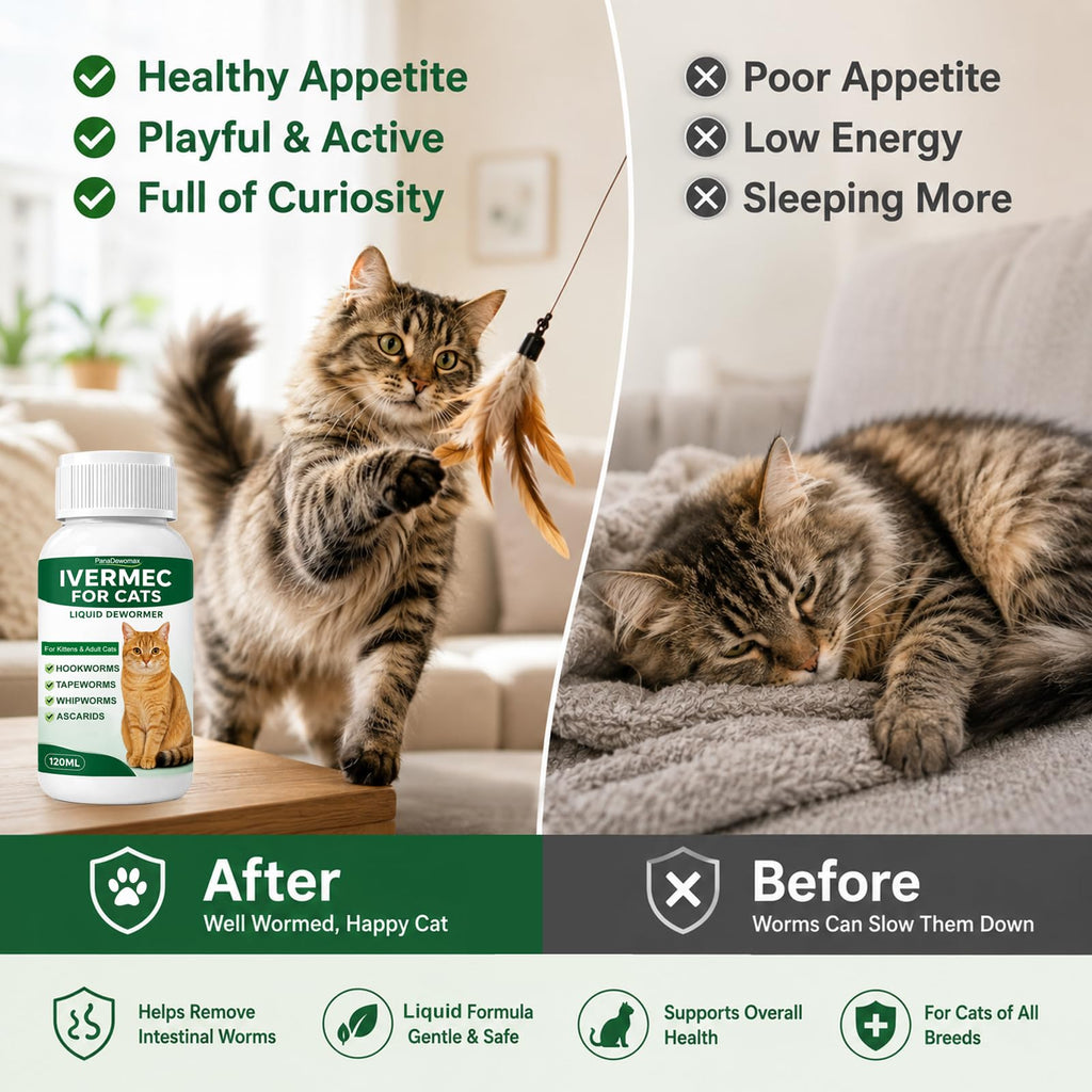 Broad Spectrum Cat Dewormer for Tapeworms, Roundworms and Hookworms C555649
