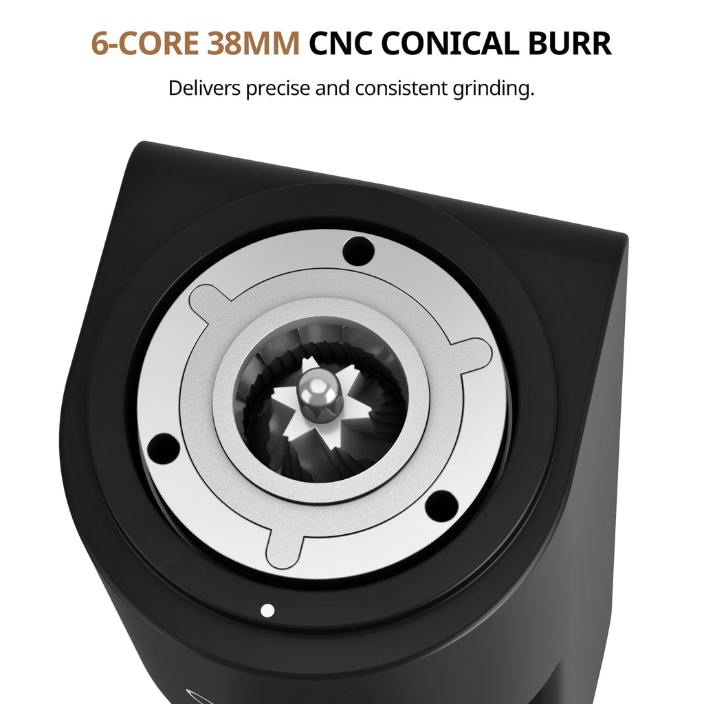 Coffee Grinder with Conical Burr H1578