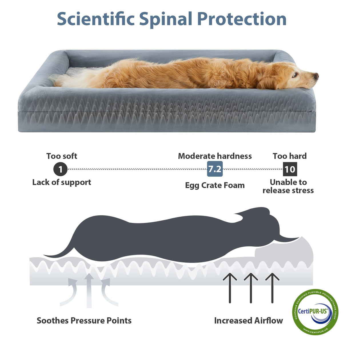 XL Extra Large Orthopedic Dog Bed S64606