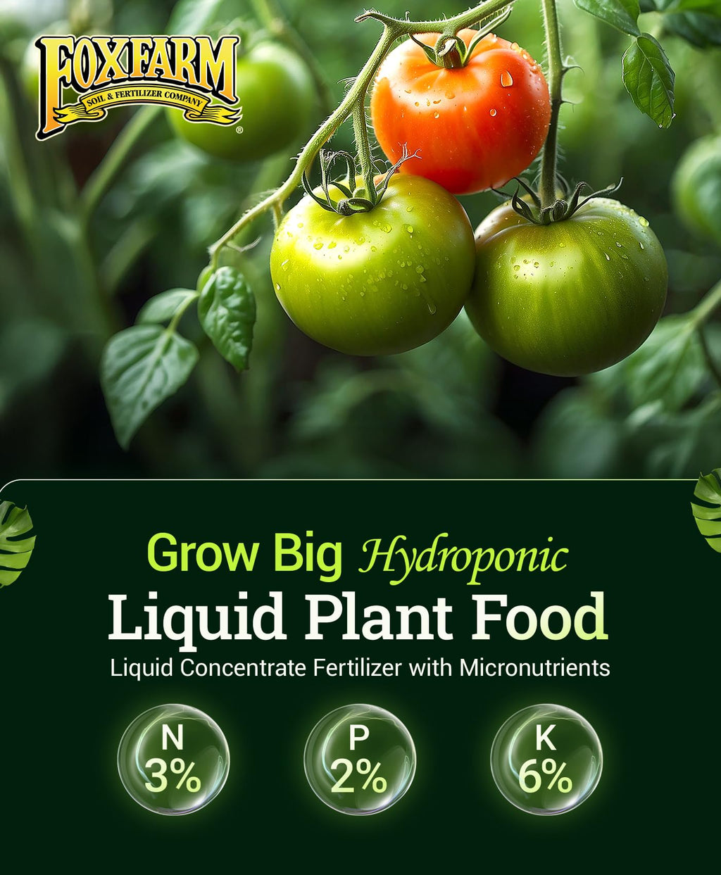 Liquid Plant Fertilizer 3-2-6 1 Pint W321
