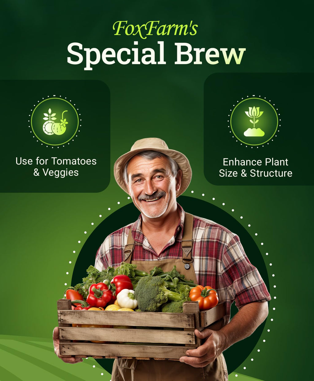 Liquid Plant Fertilizer 3-2-6 1 Pint W321