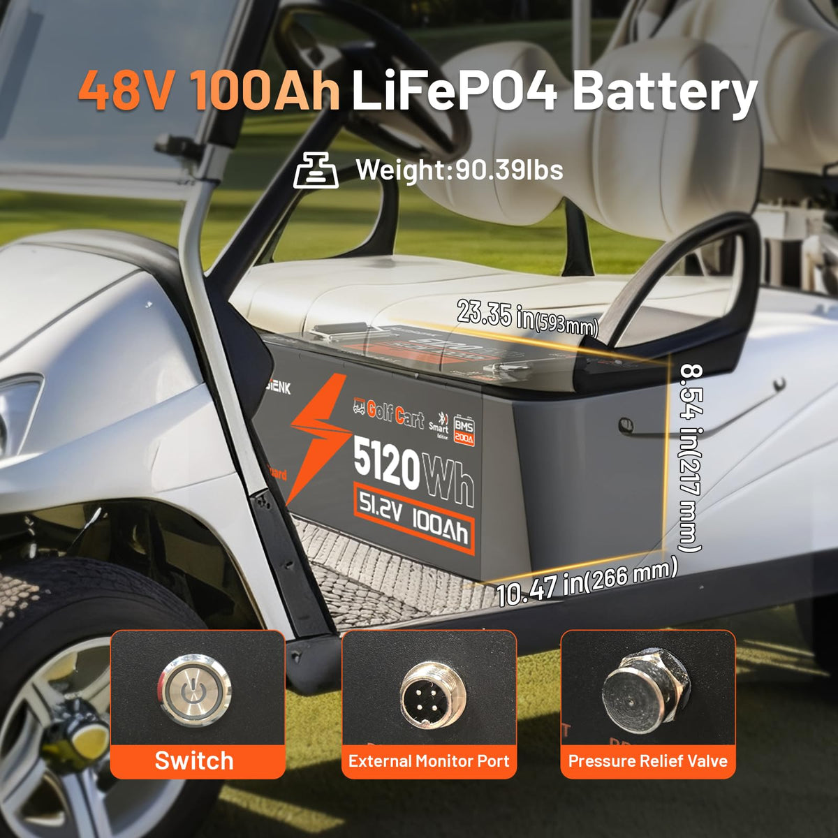 48V 100Ah LiFePO4 Golf Cart Battery T409