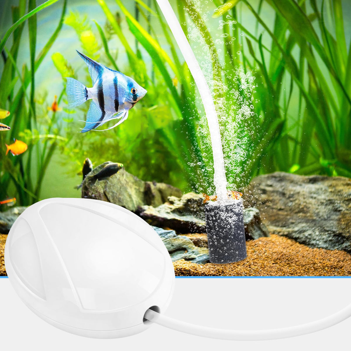 Aquarium Air Pump with Stones, Airline Tubing, Check Valves P883