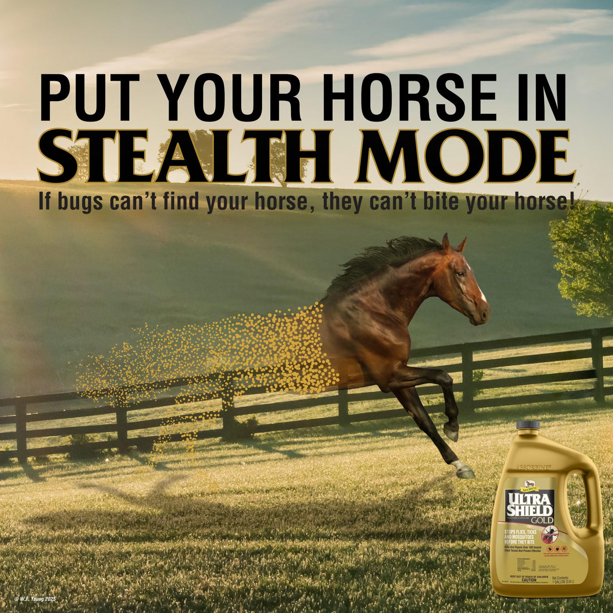 128oz Insecticide & Repellent Y4858