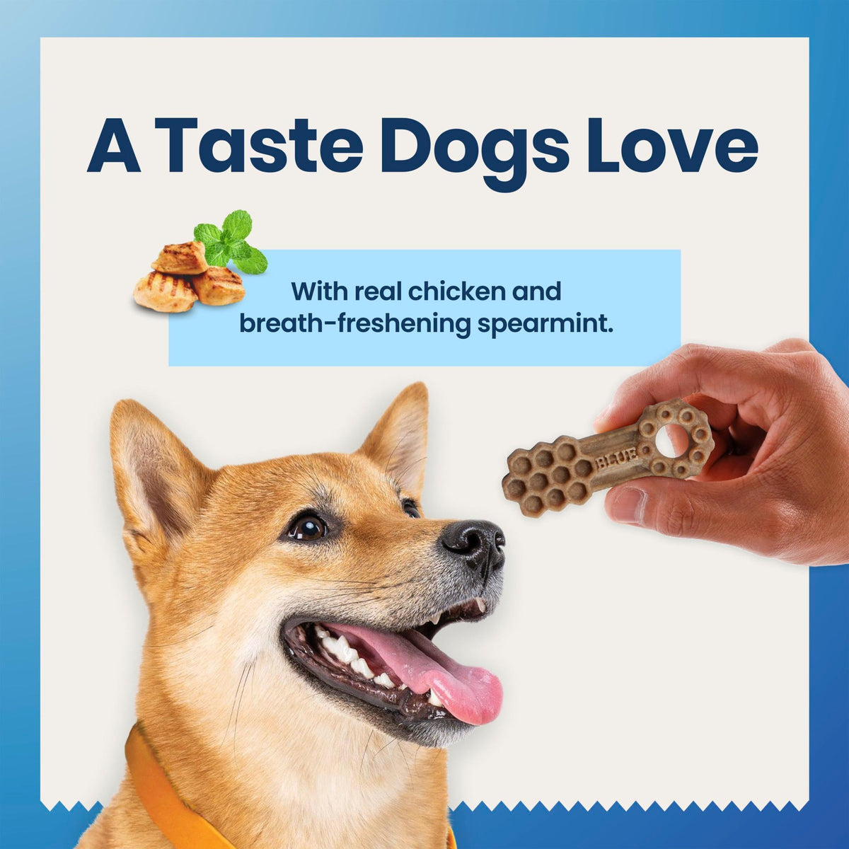 Chicken & Spearmint Medium Dental Chews, 11.5 oz, 14 ct V970556