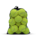 20 Pack Tennis Balls with Mesh Bag T805598