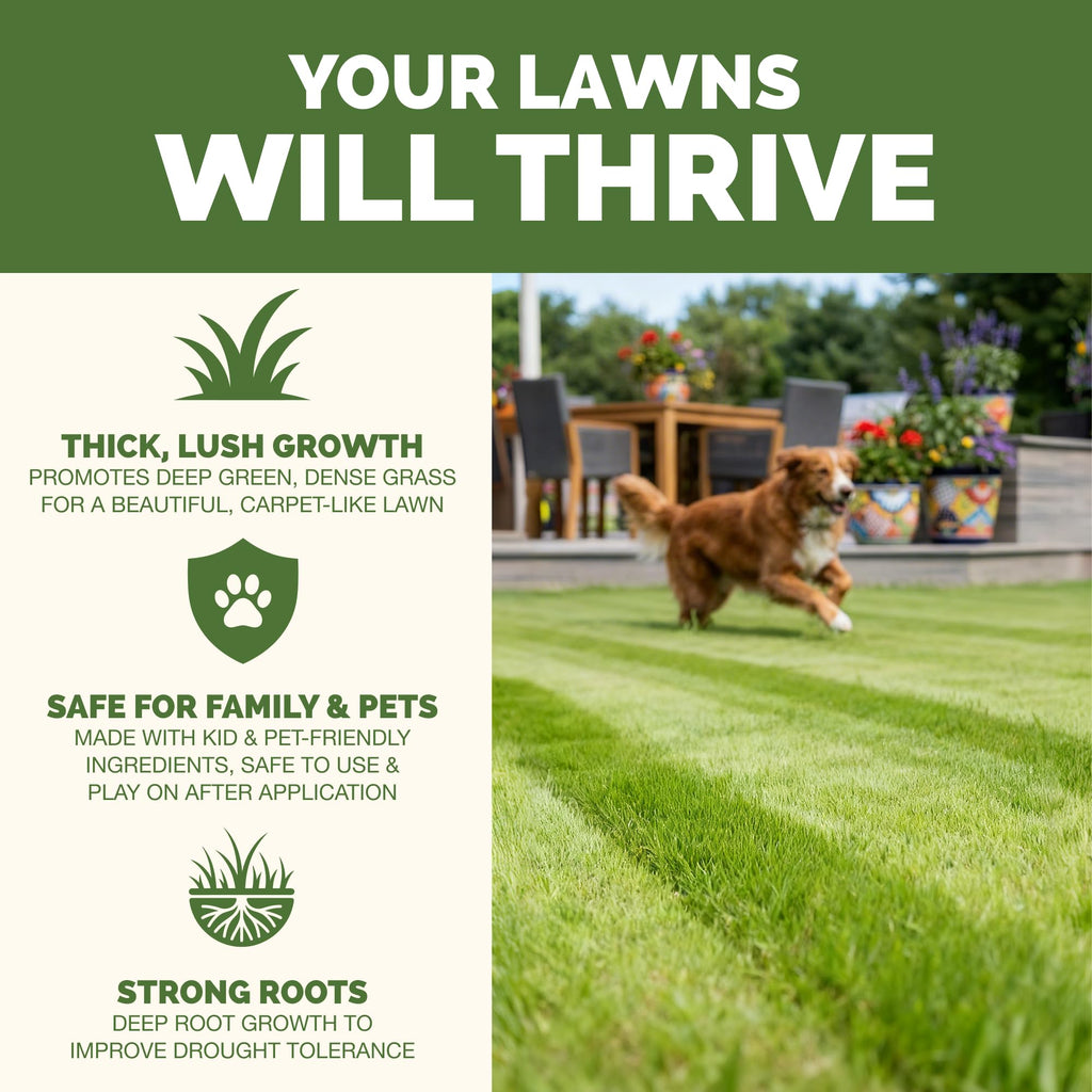 Liquid Lawn Fertilizer 1 Gallon G87074