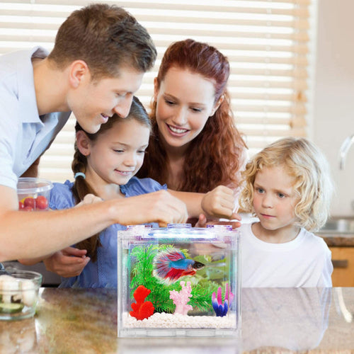 0.6 Gallon Betta Fish Tank Aquarium Kit with LED Lighting D53130