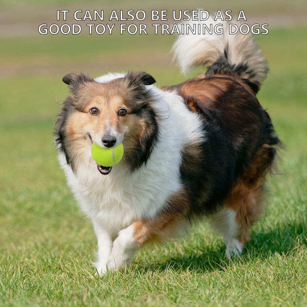 20 Pack Tennis Balls with Mesh Bag T805598