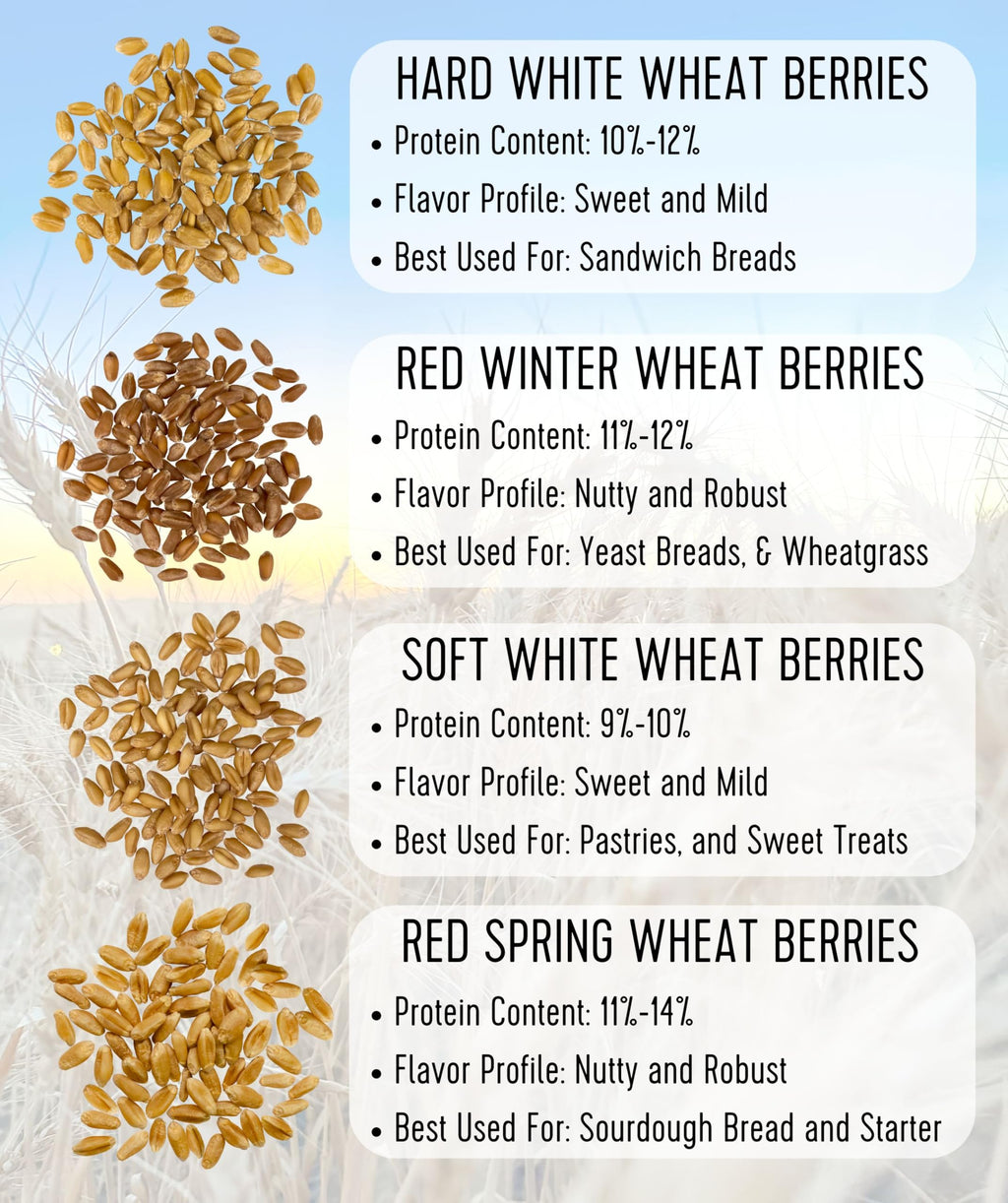Hard White Wheat Berries 5 lbs C46507