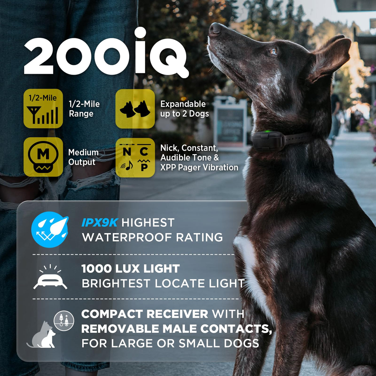 Remote Training E Collar 1/2 Mile IPX9K Waterproof P81242