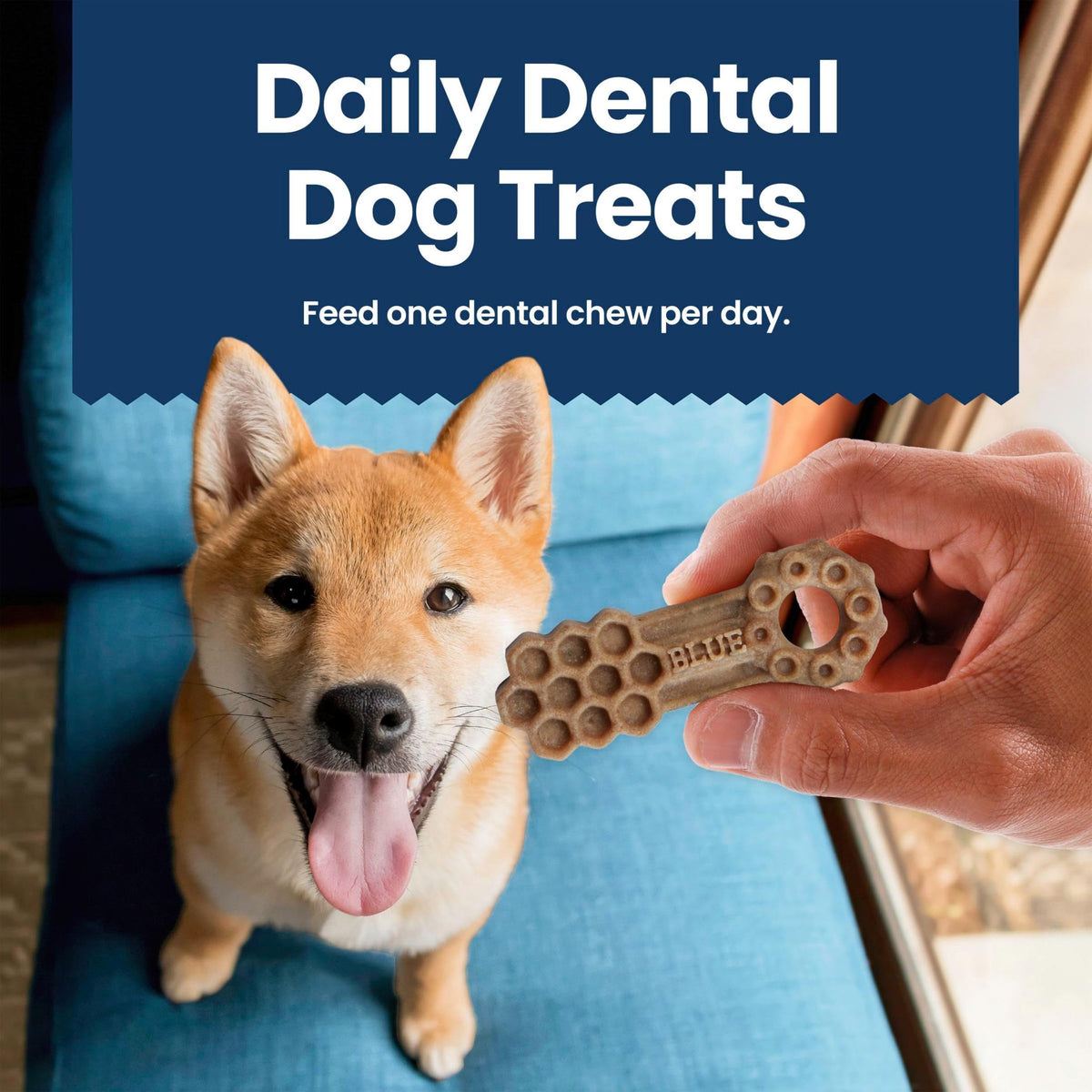 Chicken & Spearmint Medium Dental Chews, 11.5 oz, 14 ct V970556