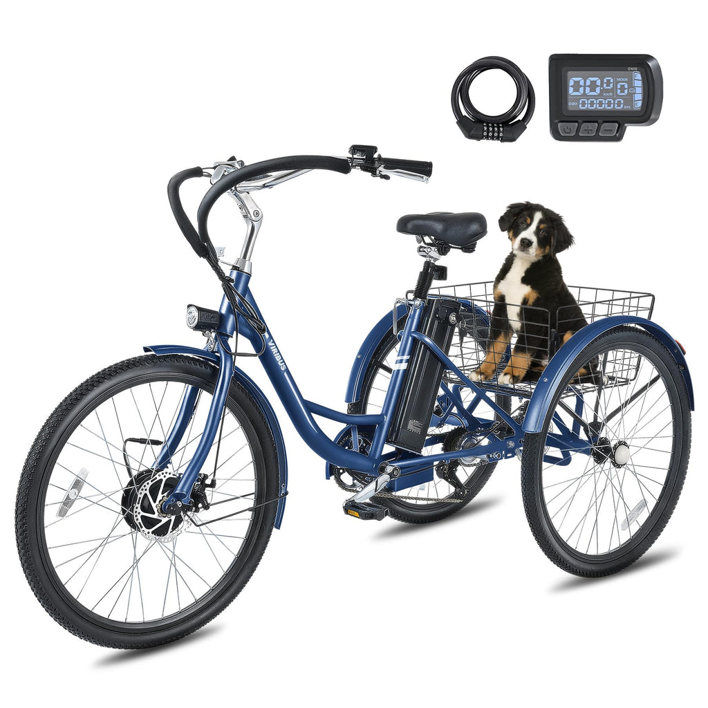 Electric Trike 7 Speed E4919