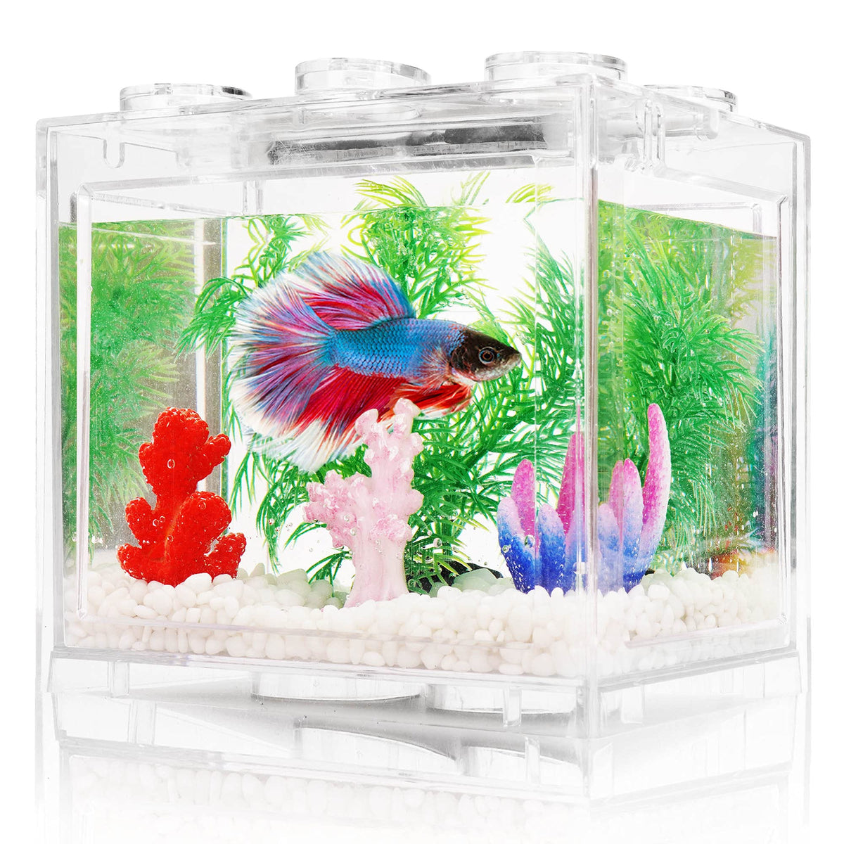 0.6 Gallon Betta Fish Tank Aquarium Kit with LED Lighting D53130