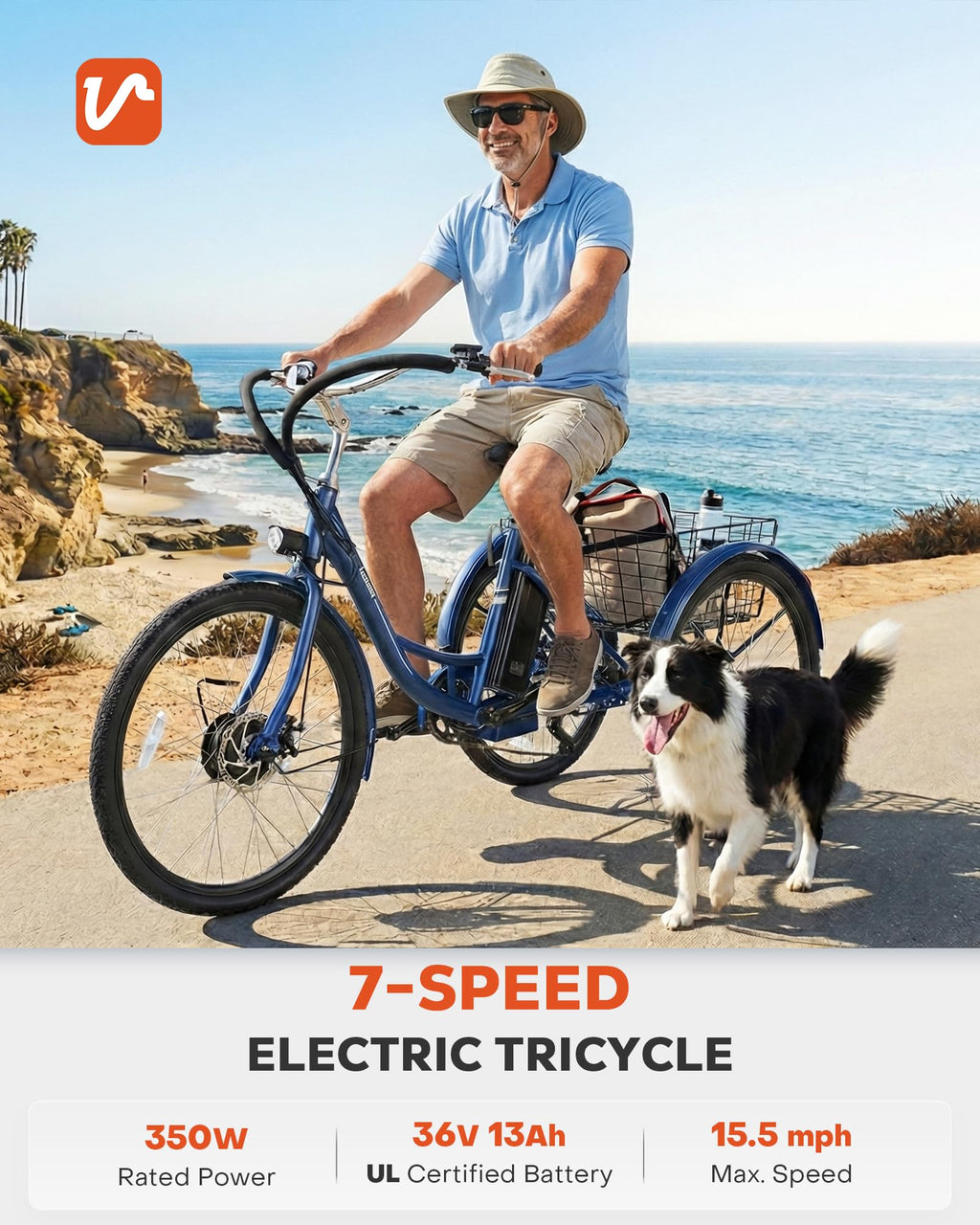 Electric Trike 7 Speed E4919