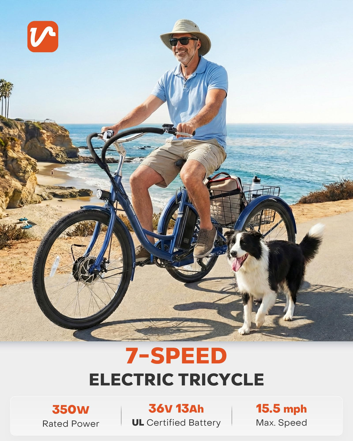Electric Trike 7 Speed E4919
