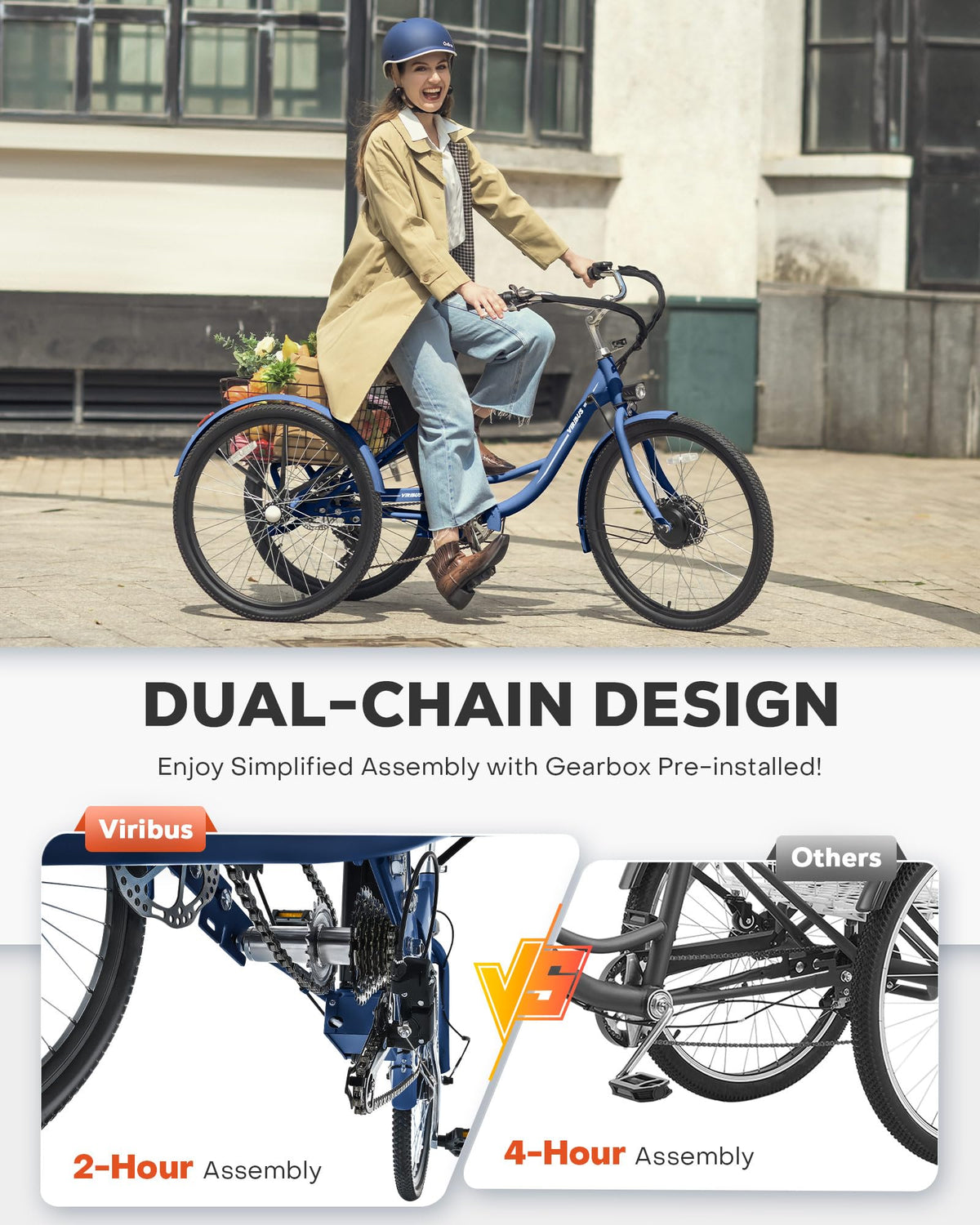 Electric Trike 7 Speed E4919