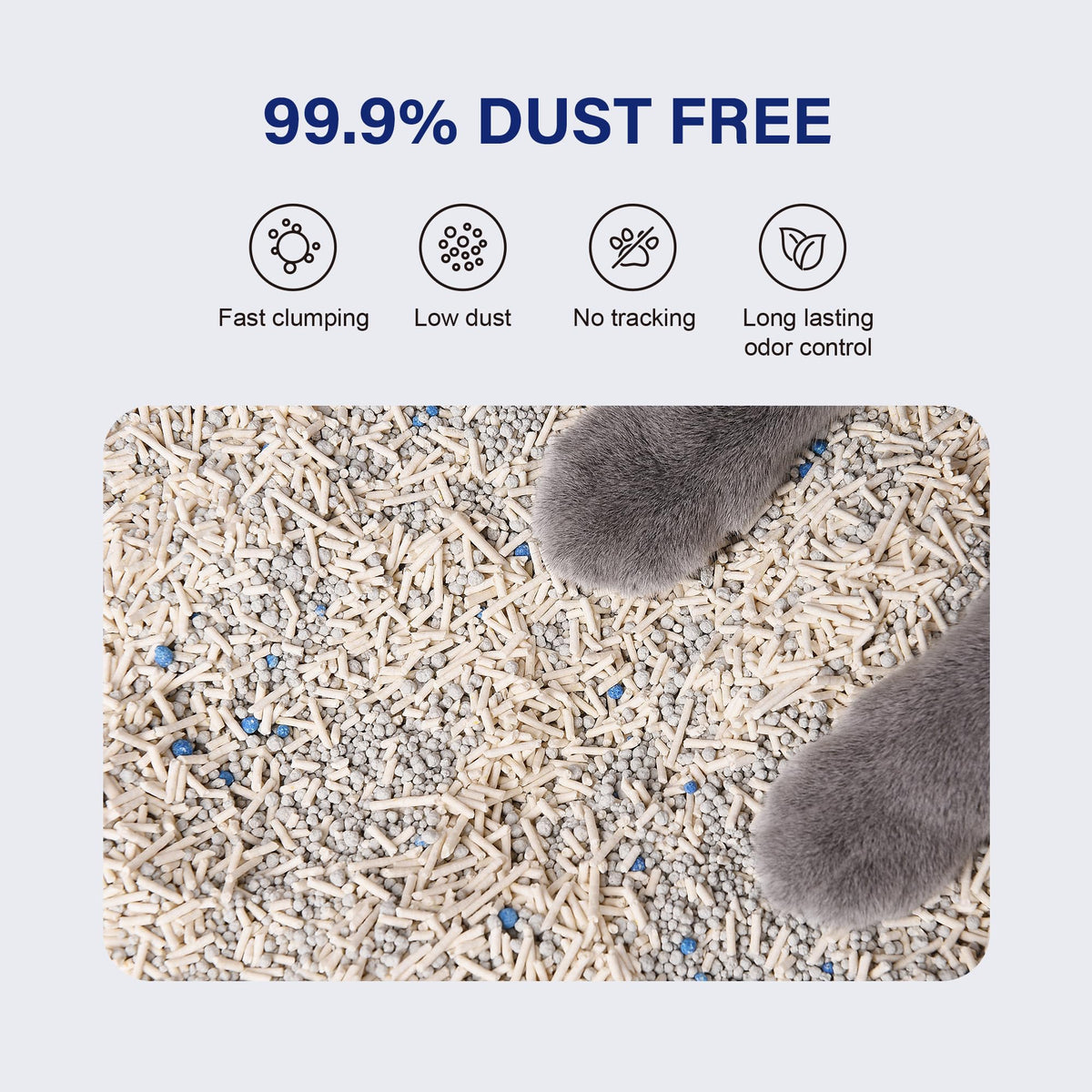 Tofu Cat Litter Bentonite Low-Dust Quick Clumping 6 Lbs N514