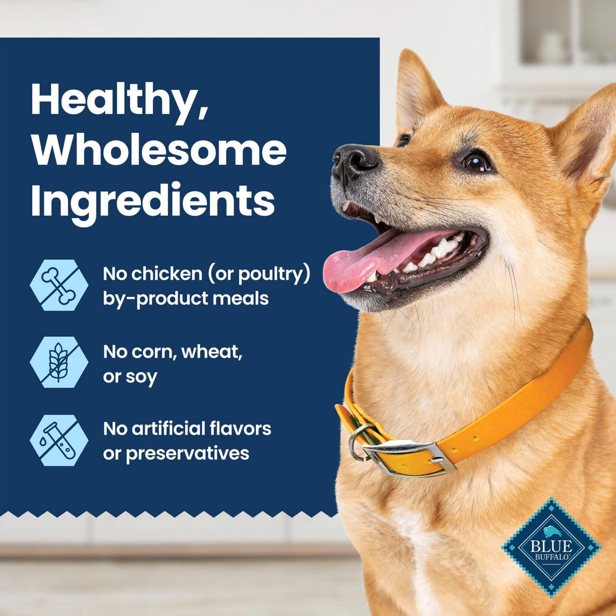 Chicken & Spearmint Medium Dental Chews, 11.5 oz, 14 ct V970556