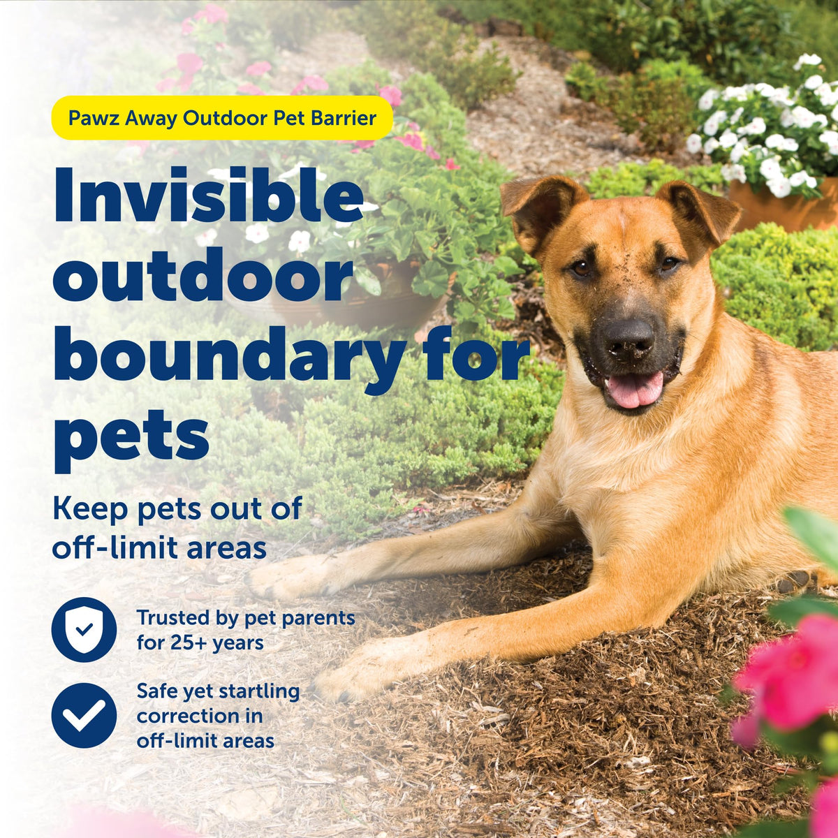 Wireless Outdoor Pet Barrier with Receiver Collar T855